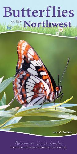 Паперова книга «Butterflies of the Northwest: Your Way to Easily Identify Butterflies», автор Джарет К. Деніелс - фото №1