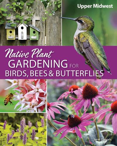 Бумажная книга «Native Plant Gardening for Birds, Bees & Butterflies: Upper Midwest: Upper Midwest», автор Джарет К. Дэниелс - фото №1