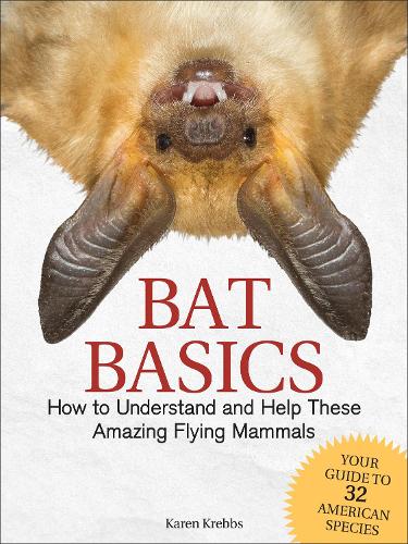 Бумажная книга «Bat Basics: How to Understand and Help These Amazing Flying Mammals», автор Карен Креббс - фото №1