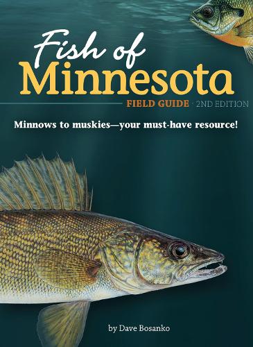 Бумажная книга «Fish of Minnesota Field Guide», автор Дэйв Босанко - фото №1