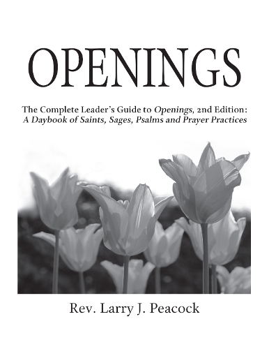 Паперова книга «Openings Leader Guide 2/E», автор Ларрі Дж. Пікок - фото №1