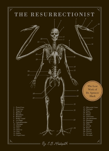 Паперова книга «The Resurrectionist: The Lost Work of Dr. Spencer Black», автор Е. Б. Хадспет - фото №1
