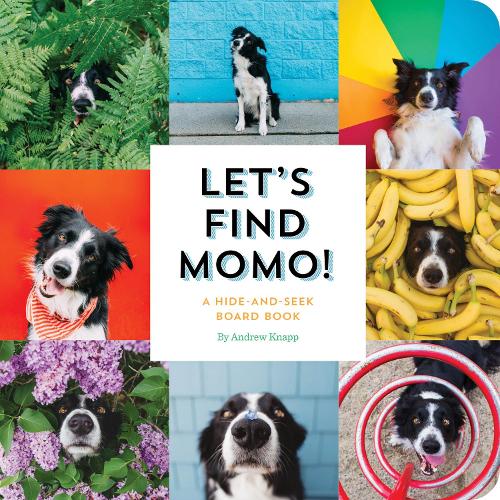 Паперова книга «Let's Find Momo!: A Hide-and-Seek Board Book», автор Ендрю Кнапп - фото №1