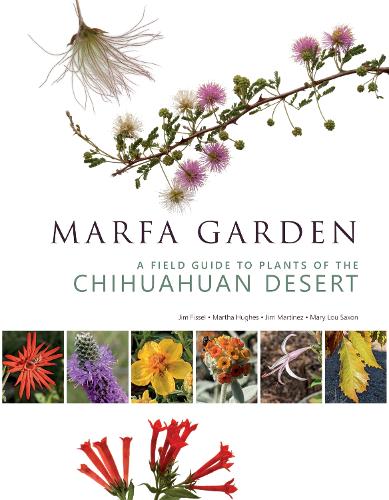 [object Object] «Marfa Garden: A Field Guide to Plants of the Chihuahuan Desert», авторів Джим Фіссел, Джим Мартінес, Марта Г'юз, Мері Лу Саксон - фото №1