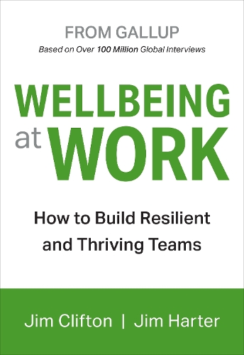 Паперова книга «Wellbeing At Work», авторів Джим Кліфтон, Джим Хартер - фото №1