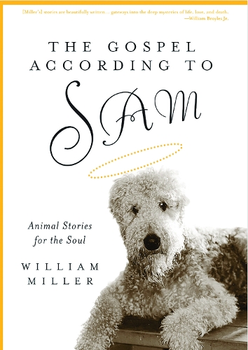 Бумажная книга «The Gospel According to Sam: Animal Stories for the Soul», автор Уильям Миллер - фото №1