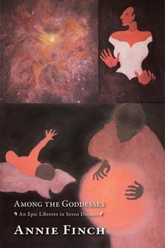 Бумажная книга «Among the Goddesses: An Epic Libretto in Seven Dreams», автор Анни Финч - фото №1