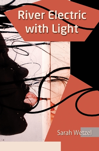 Паперова книга «River Electric with Light», автор Сара Ветцель - фото №1