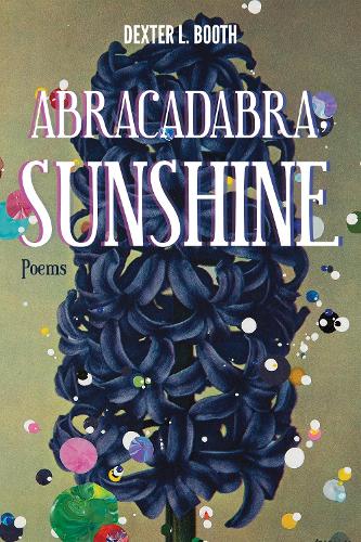 Бумажная книга «Abracadabra, Sunshine», автор Декстер Л. Бут - фото №1