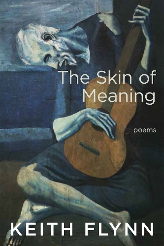 Бумажная книга «The Skin of Meaning», автор Кит Флинн - фото №1