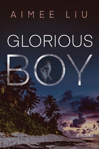 Бумажная книга «Glorious Boy», автор Эйми Лю - фото №1