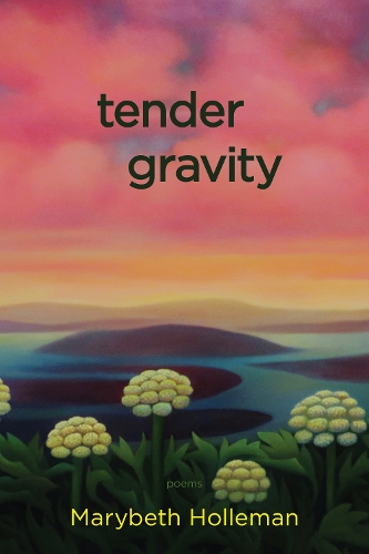Бумажная книга «tender gravity», автор Мэрибет Холлеман - фото №1