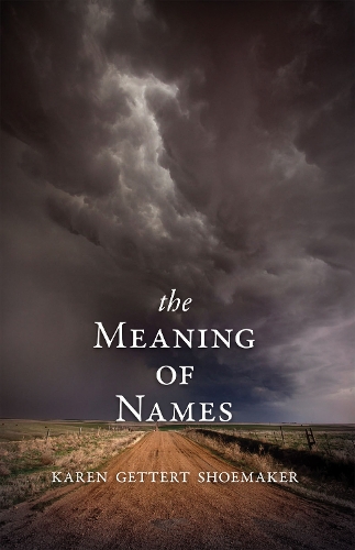 Бумажная книга «The Meaning of Names», автор Карен Шумейкер - фото №1