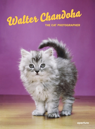 Бумажная книга «Walter Chandoha: The Cat Photographer», автор Уолтер Чандоха - фото №1