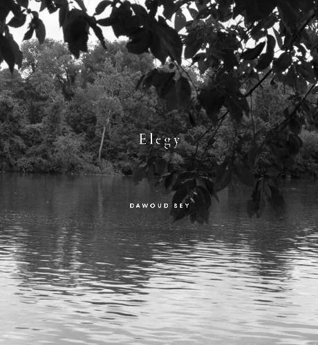 Паперова книга «Dawoud Bey: Elegy», автор Валері Кассель Олівер - фото №1