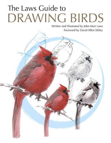 Бумажная книга «The Laws Guide to Drawing Birds», автор Джон Мьюир Лоус - фото №1