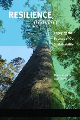 Паперова книга «Resilience Practice: Building Capacity to Absorb Disturbance and Maintain Function», авторів Брайан Вокер, Девід Солт - фото №1