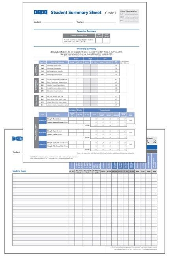 Бумажная книга «Student Record and Class Summary Sheets: Grade 1», автор Brookes Publishing co - фото №1