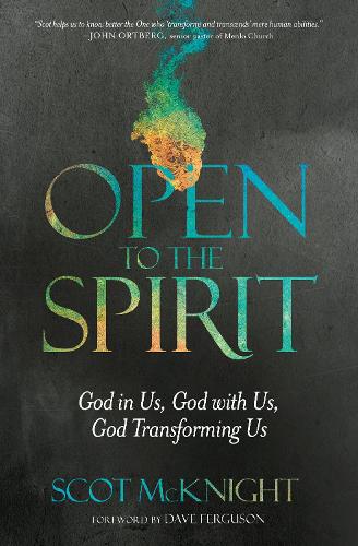 Бумажная книга «Open to the Spirit: God in Us, God with Us, God Transforming Us», автор Скот Макнайт - фото №1
