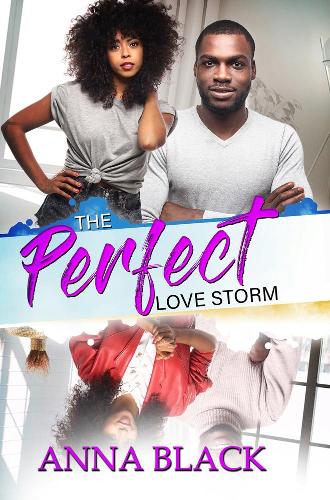 Паперова книга «The Perfect Love Storm», автор Анна Блек - фото №1