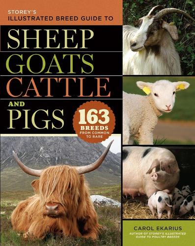 Бумажная книга «Storey's Illustrated Breed Guide to Sheep, Goats, Cattle and Pigs: 163 Breeds from Common to Rare», автор Кэрол Экариус - фото №1