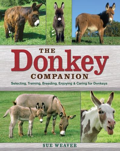 Паперова книга «Donkey Companion», автор Сью Вівер - фото №1