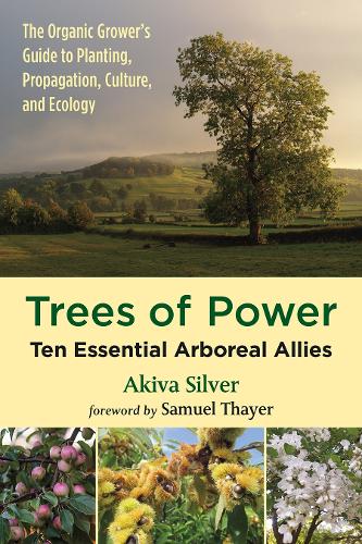 Бумажная книга «Trees of Power: Ten Essential Arboreal Allies», автор Акива Сильвер - фото №1