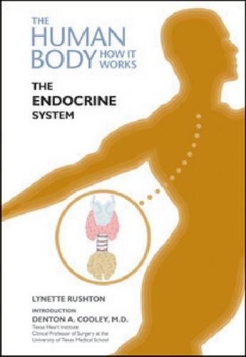 Бумажная книга «The Endocrine System», автор Линетт Раштон - фото №1