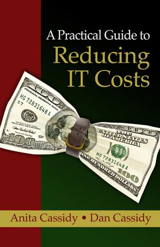 Паперова книга «Practical Guide to Reducing IT Costs, A», автор Аніта Кессіді - фото №1