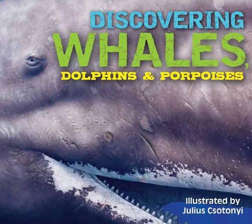 Бумажная книга «Discovering Whales, Dolphins and Porpoises: The Ultimate Guide to the Ocean's Largest Mammals», автор Келли Готье - фото №1
