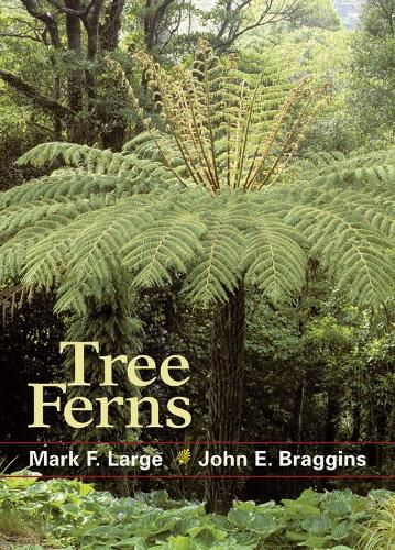 Бумажная книга «Tree Ferns», авторов Джон Э. Брэггинс, Марк Ф. Лардж - фото №1