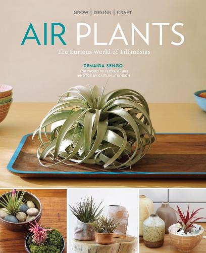 Бумажная книга «Air Plants: The Curious World of Tillandsias», автор Зенаида Сенго - фото №1