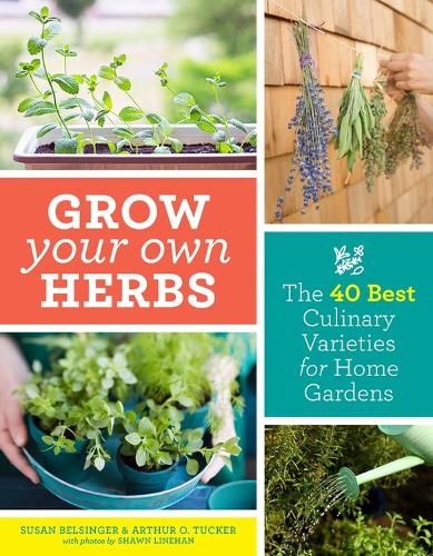 Паперова книга «Grow Your Own Herbs: The 40 Best Culinary Varieties for Home Gardens», авторів Артур О. Такер, Сьюзен Белсінджер - фото №1