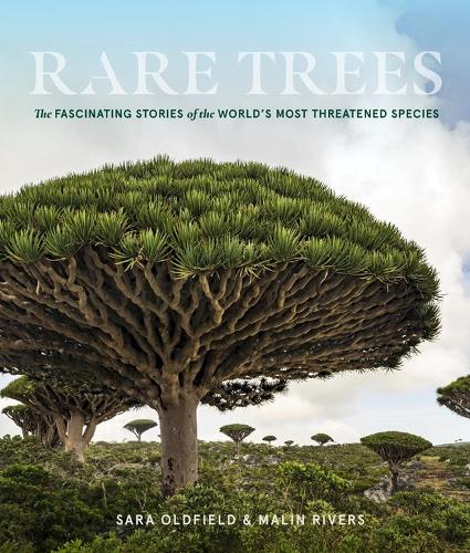 Бумажная книга «Rare Trees: The Fascinating Stories of the World’s Most Threatened Species», авторов Малин Риверс, Сара Олдфилд - фото №1