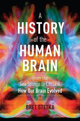 Бумажная книга «A History of the Human Brain: From the Sea Sponge to CRISPR, How Our Brain Evolved», автор Брет Стетка - фото №1