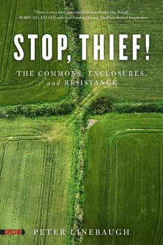 Бумажная книга «Stop, Thief!: The Commons, Enclosures, And Resistance», автор Питер Линебо - фото №1