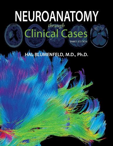 Бумажная книга «Neuroanatomy through Clinical Cases», автор Хэл Блюменфельд - фото №1