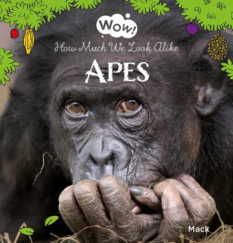 Бумажная книга «Wow! Apes. How Much We Look Alike», автор Мак ван Гагельдонк - фото №1