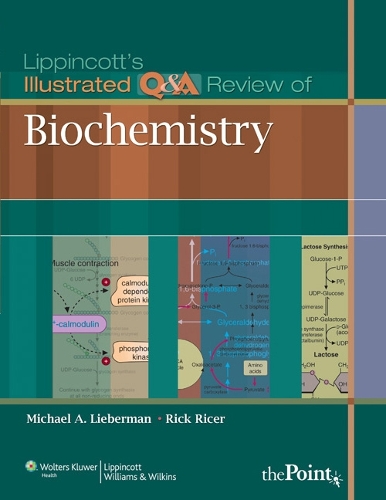 Паперова книга «Lippincott's Illustrated Q&A Review of Biochemistry», авторів Майкл А. Ліберман, Рік Райсер - фото №1
