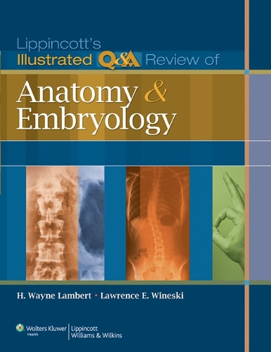 Бумажная книга «Lippincott's Illustrated Q&A Review of Anatomy and Embryology», авторов Х. Уэйн Ламберт, Лоуренс Э. Вайнски - фото №1
