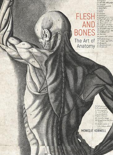 Бумажная книга «Flesh and Bones: The Art of Anatomy», автор Моник Корнелл - фото №1