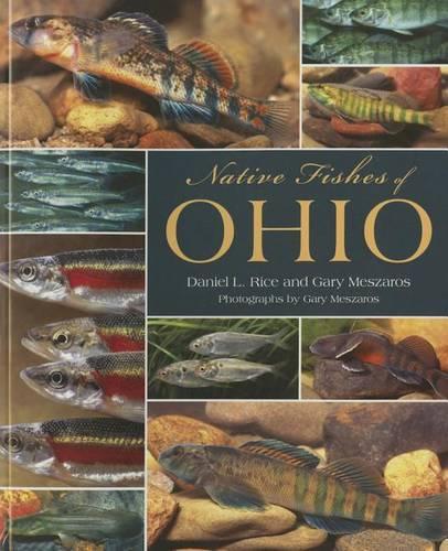 Бумажная книга «Native Fishes of Ohio», автор Дэниел Л. Райс - фото №1
