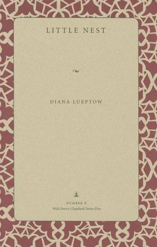 Паперова книга «Little Nest», автор Діана Луптоу - фото №1