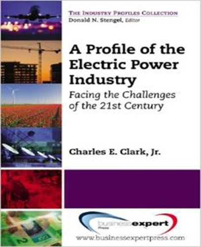 Бумажная книга «A Profile of the Electric Power Industry: Facing the Challenges of the 21st Century», автор Чарльз Кларк - фото №1