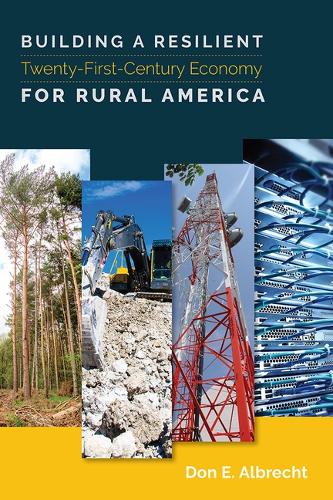 Бумажная книга «Building a Resilient Twenty-First-Century Economy for Rural America», автор Дон Э. Альбрехт - фото №1
