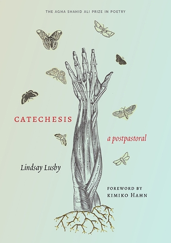 Бумажная книга «Catechesis: A Postpastoral», автор Линдси Лусби - фото №1