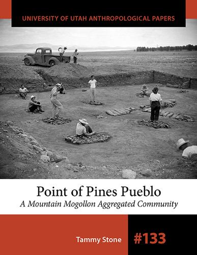 Бумажная книга «Point of Pines Pueblo: A Mountain Mogollon Aggregated Community», автор Тэмми Стоун - фото №1