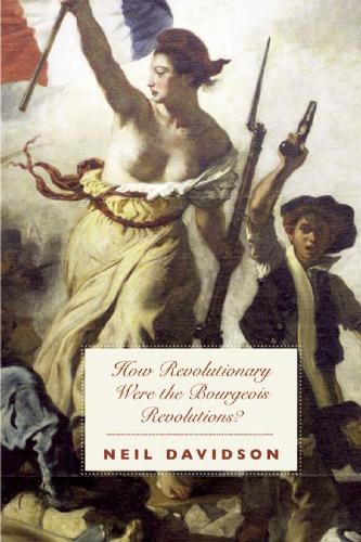 Бумажная книга «How Revolutionary Were The Bourgeois Revolutions?», автор Нил Дэвидсон - фото №1
