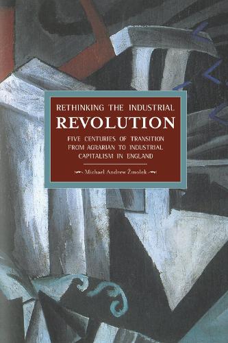 Бумажная книга «Rethinking The Industrial Revolution: Five Centuries Of Transition From Agrarian To Industrial Capitalism In: Historical Materialism, Volume 49», автор Майкл Эндрю Змолек - фото №1