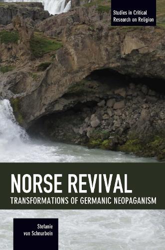 Бумажная книга «Norse Revival: Transformations Of Germanic Neopaganism: Studies in Critical Research on Religion», автор Стефани фон Шнурбайн - фото №1